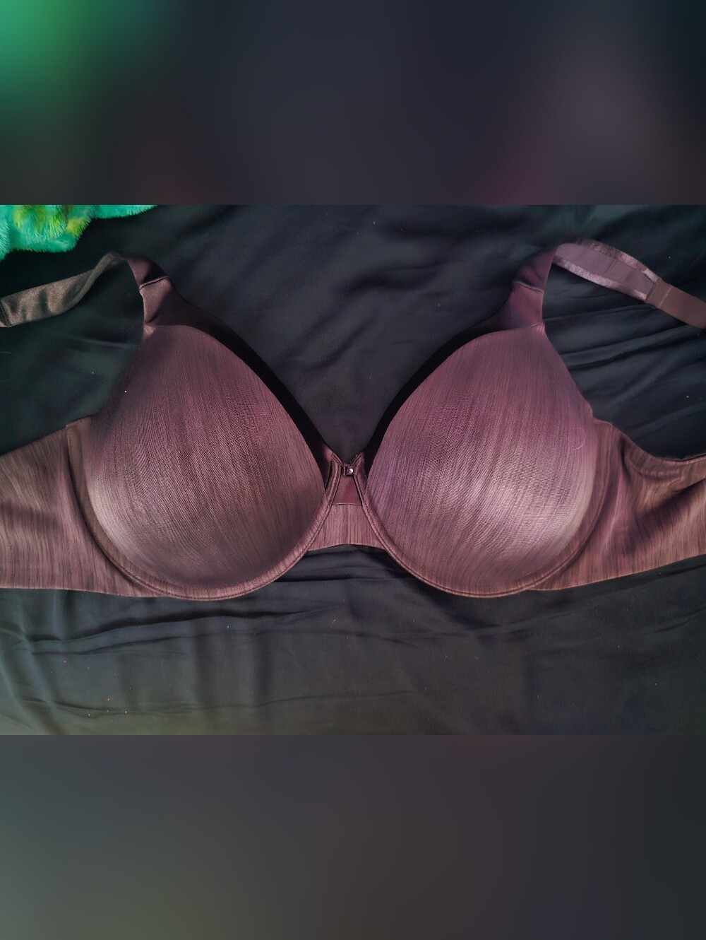 Vanity Fair Aubergine Plum Purple Illumination Full Figure Bra 42D